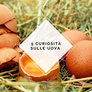5 curiosità sulle uova che forse non sai